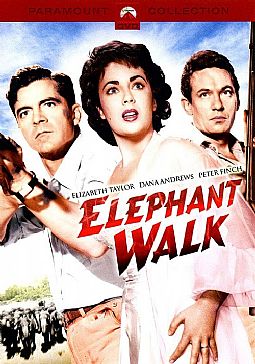 Θύελλα σ ερωτευμένη καρδιά [DVD]